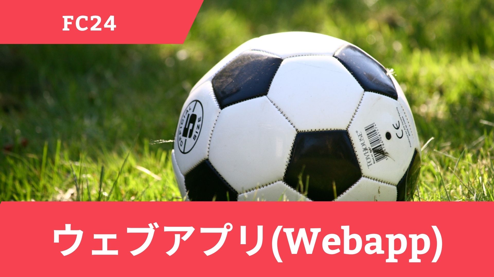 FC24のウェブアプリ(Webapp)にアクセスするやり方やログインの手順を解説